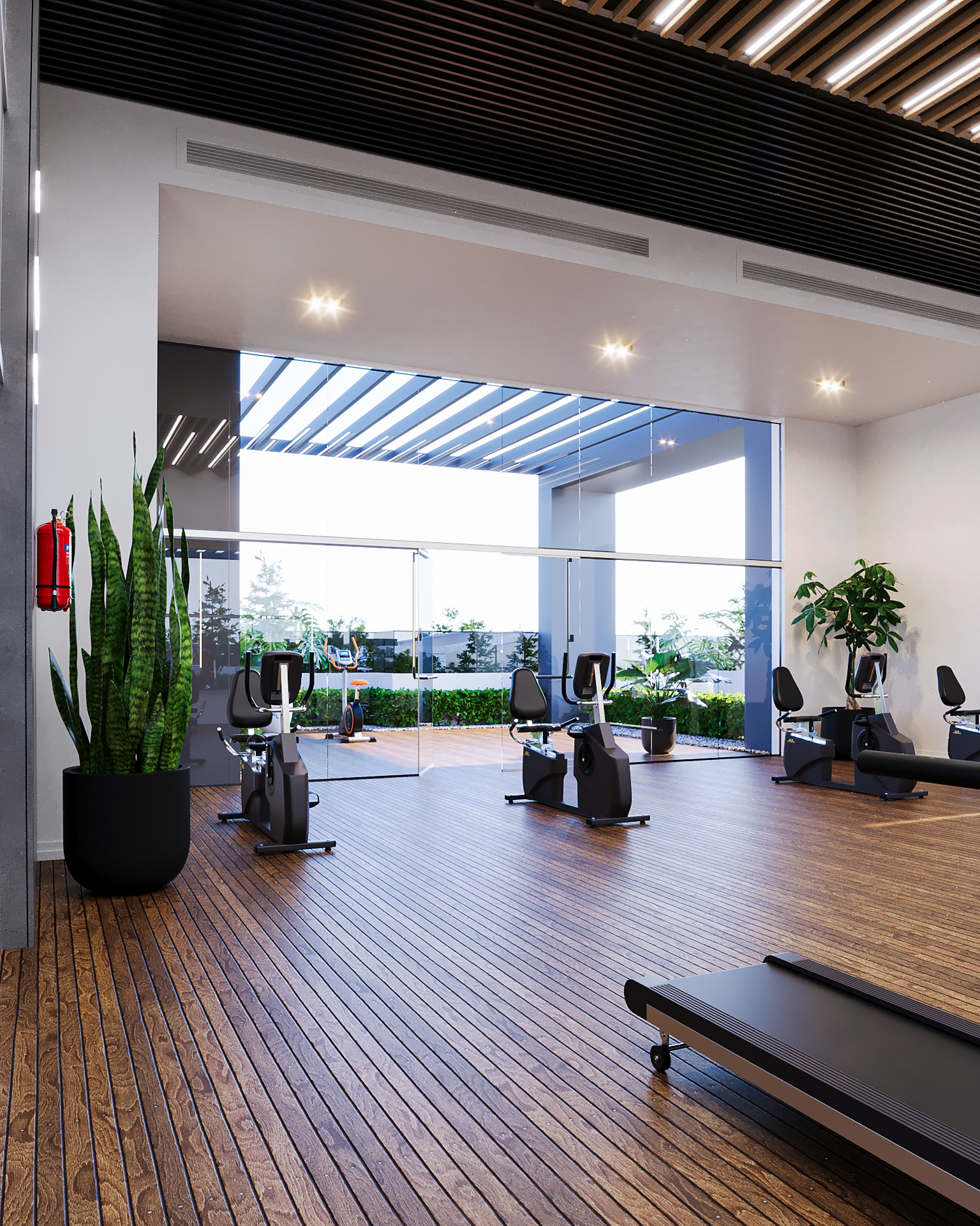 Luxury Gym